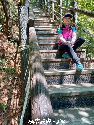 【台中和平】山林靜謐時光。 捎來步道2989214