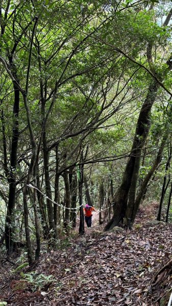 平溪大湖格隧道，石底觀音山、刀石崙、一坑古道O型1970875