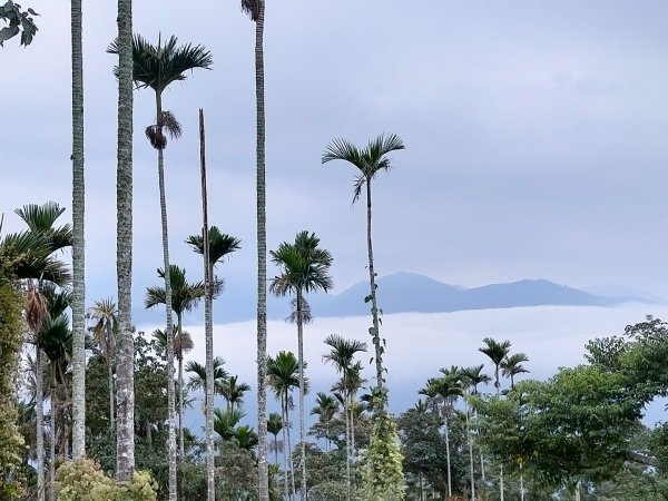 阿拔泉山/觀音石山/紅楠坑山/獨立山 環狀2963287