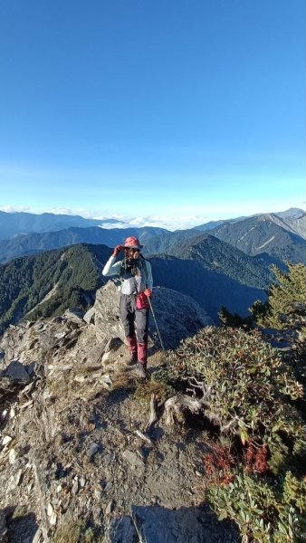 北二段之 甘薯無明2611901