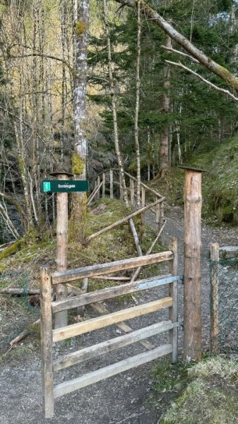 挪威🇳🇴Voss峽谷秘境2810356