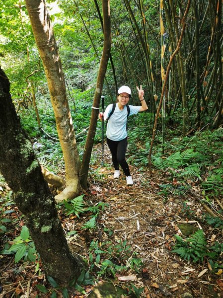 九華山福德宮-平溪子山-台和煤礦-北43鄉道-106縣道2907764