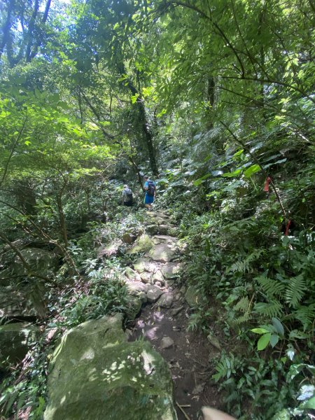 《陽明山秘境健行｜翠峰瀑布 × 天母古道 夏日涼爽路線》2852216