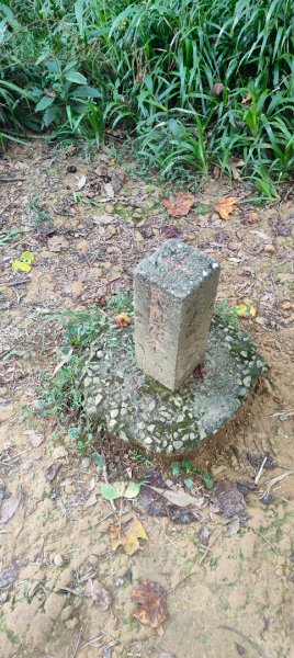 桃園石門山2883750