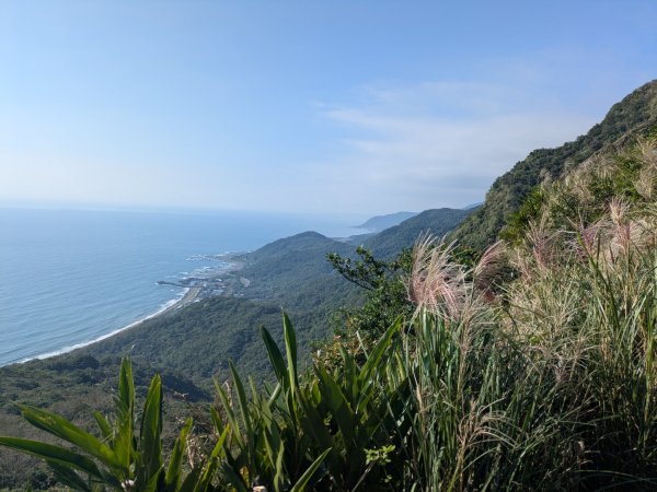 20251108桃源谷到草嶺古道大里天公廟2931462