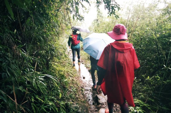 淡蘭古道中路O型988524