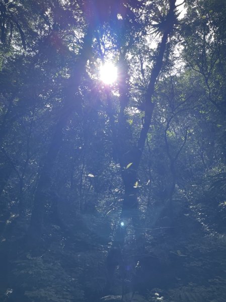 微笑山線/五分山系3013338