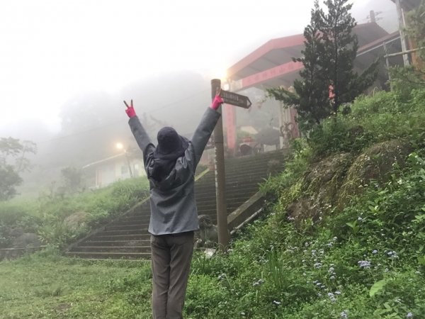 步道巡訪員 l 五指山步道五月巡訪日誌962972