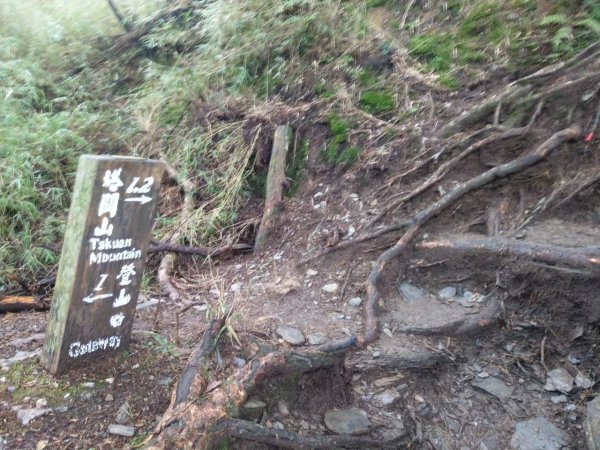 高雄/台東-南橫三星-塔關山3053681