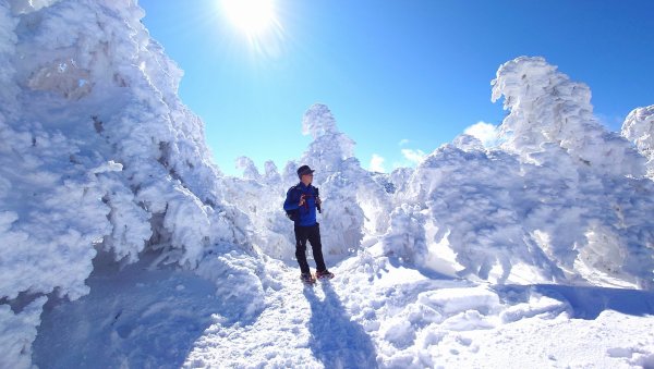 超綺麗夢幻的粉雪奇緣山行記在日本名古屋南沢山2781229