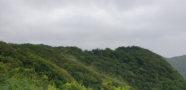 情人湖 大武崙山1717214