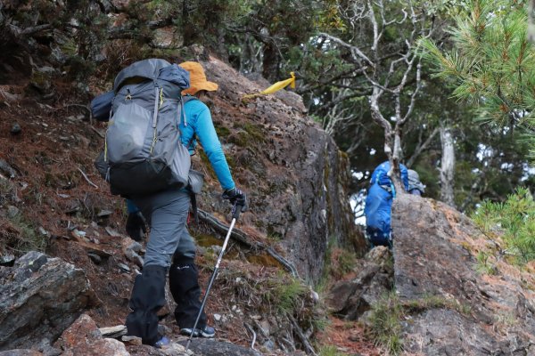 遠得要命山頭：清水金子西巒連稜1849093