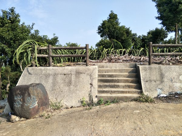 田園茶香賞茶步道1254716