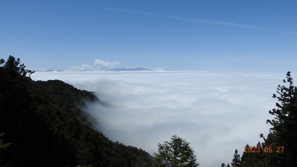 太平山之望洋山&觀雲步道之雲海+觀音圈5/282163463