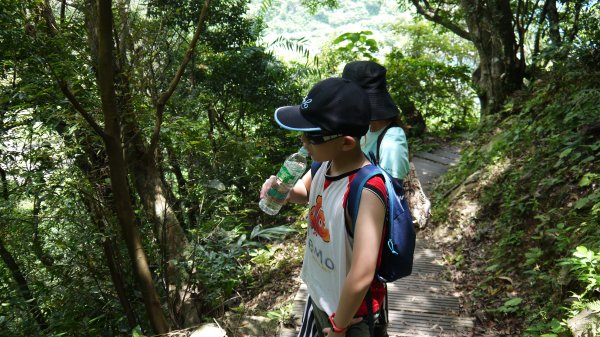 朝陽國家步道登山健行趣(郊山)1565127