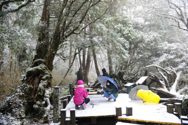 【宜蘭】0203 太平山 下雪了