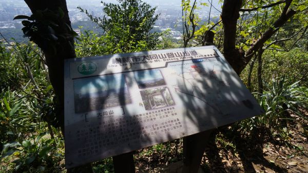 大棟山之縱302469