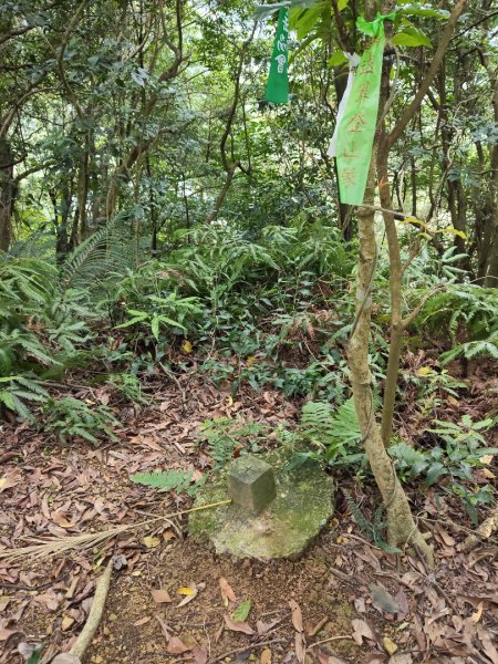 微笑山線：【二格山系】銀河洞越嶺段2959986