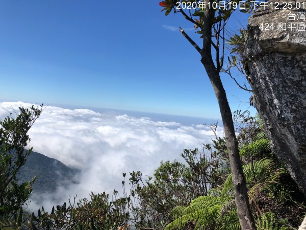 鳶嘴稍來國家步道季秋縱走1144509