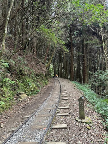 漫步特富野古道2371473