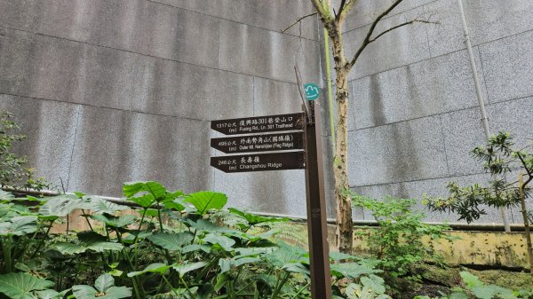 圓通寺烘爐地登山步道大O走3007099