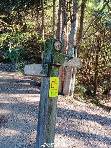 【台中和平】山迢路遠換壯闊山景。 No75百岳雪山東峰xNo2百岳雪山主峰 (兩天兩夜)2347594