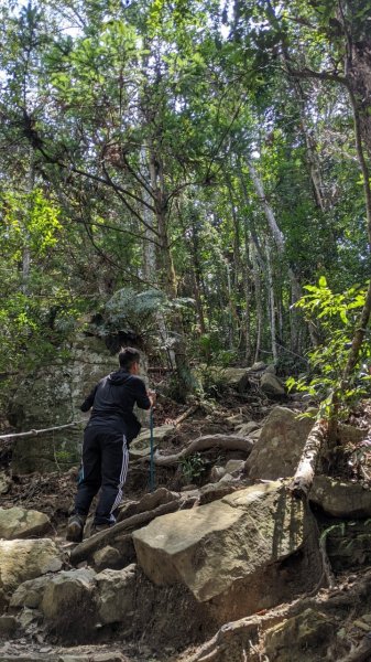 蝴蝶谷瀑布步道｜唐麻丹山登山步道 (松鶴部落上)1900087