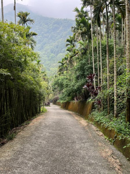 2022_0320_雲嘉小百岳三座_大尖山_梨子腳山_獨立山2030523