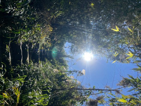 雲嘉五連峰2735891