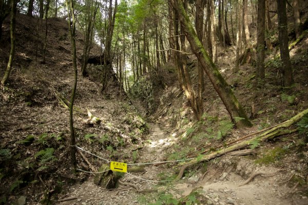 2023.03.11 馬崙山小O、新山遺址(馬崙山步道支線去、斯可巴步道返)2072692