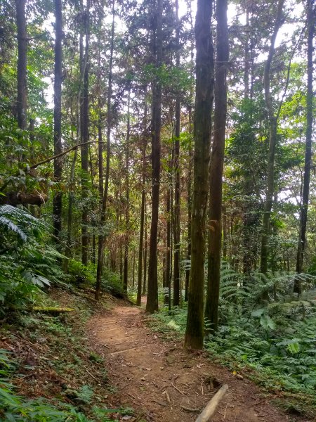 馬那邦山0型路線1114129