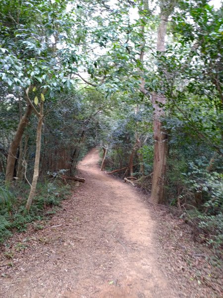 石光古道-面埔頂山-聖母洞O型808535