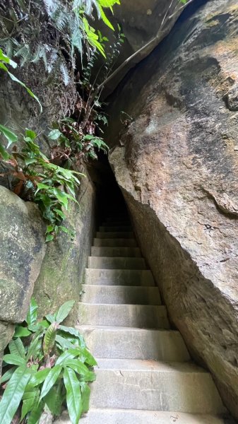 新店和美山三潭縱走中和三山-南勢角天上山-日月洞2588659