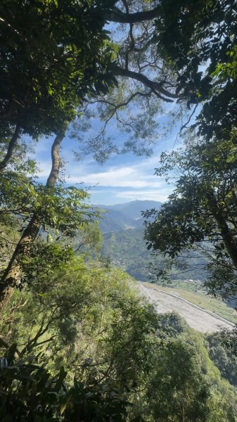 苗栗卓蘭-大克山2626456