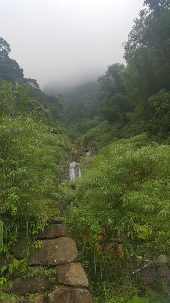 溪頭天文台登山步道 2017 09 11164631