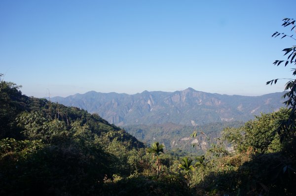 西阿里關山步道2011201