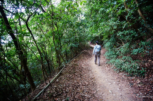 棚集山