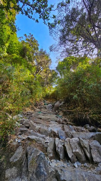 112.04.16 玉山前峰2123674