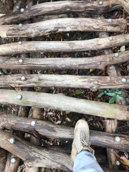 頭嵙山攻頂577436