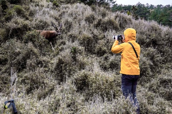戒茂斯上嘉明湖三天兩夜2769427