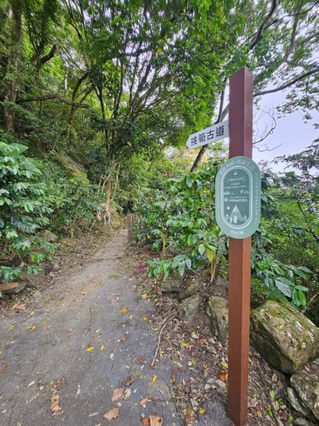 20260921 樟湖生態國小登後棟仔山挑筍古道上大、二尖山3121208