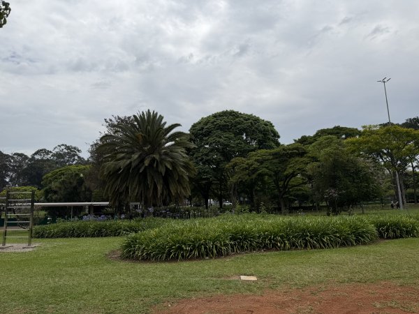 [紐約馬之行-67] 2025_1116 伊比拉布埃拉公園-上2955048