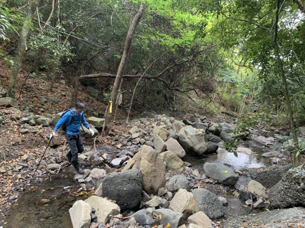 20260124屏東老佛山-老佛山南峰2992228