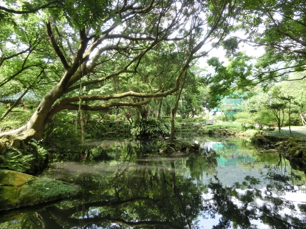 紗帽山．前山公園93885