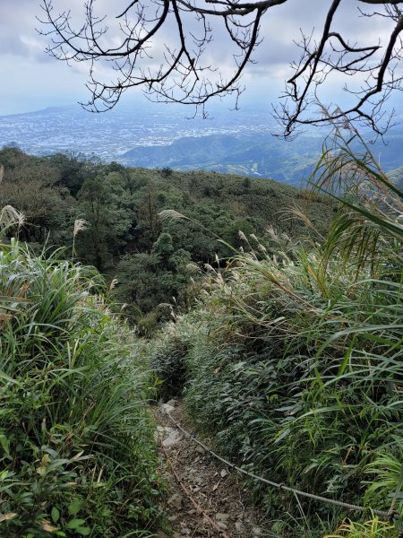 朝聖之路小百岳--三角崙山2356929