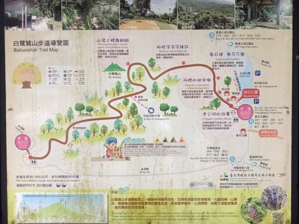 內湖區大湖公園+白鷺鷥山2931136