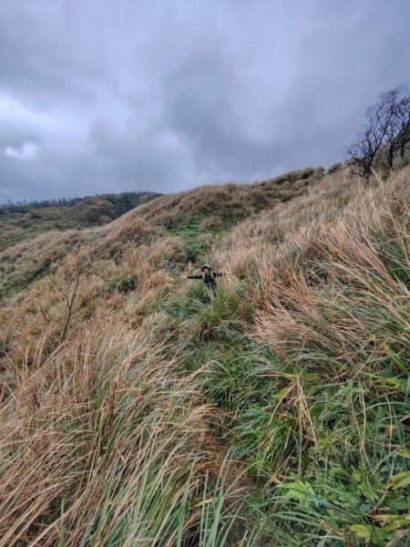 渭水之丘 烘爐地山 抹茶山 三角崙山2938751
