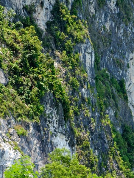 崇德休憩區(清水斷崖)2841172