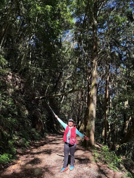 橫嶺山走走避暑趣 2025.6.112815432