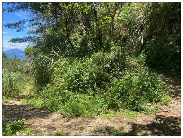 武界山、獅凸魯山、橫屏山、橫屏山西峰 連走2846116